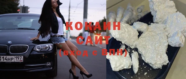 гашик Дмитров