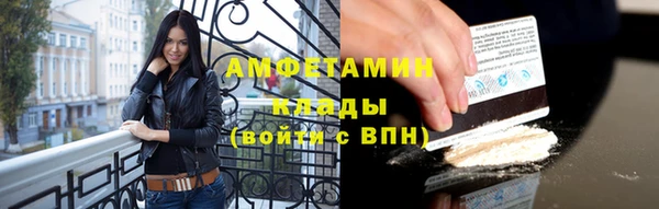 твердый Дмитровск