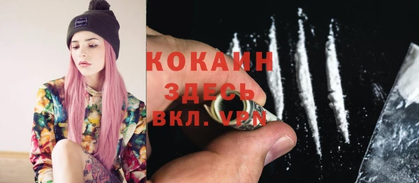 гашик Дмитров