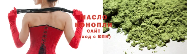 гашик Дмитров