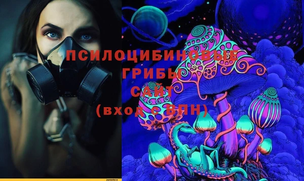 твердый Дмитровск