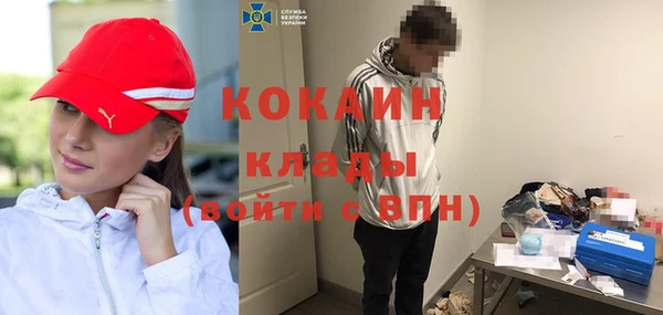 гашик Дмитров