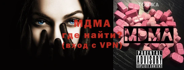 гашик Дмитров