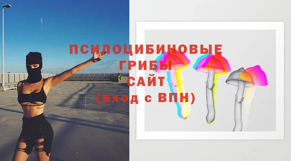 мдма Дмитриев