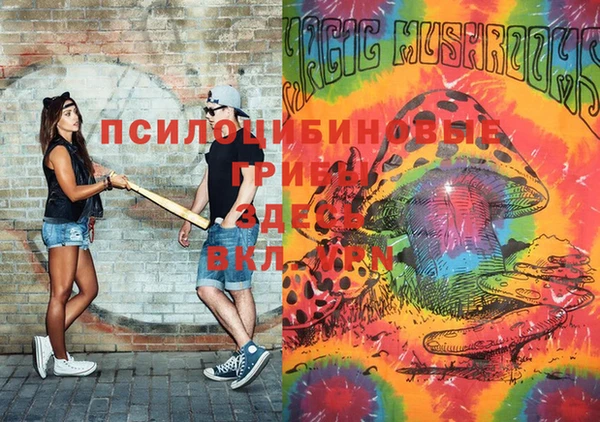 твердый Дмитровск