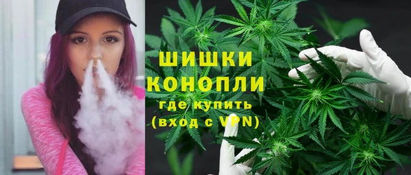 гашик Дмитров