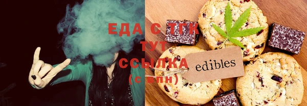 гашик Дмитров